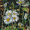 Marguerites